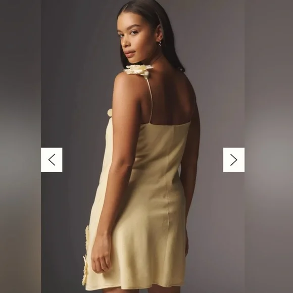 Anthropologie Hutch 3D Floral Appliqué Linen Blend Dress - Picture 3 of 4